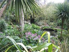 130 Ile de Batz Jardin Georges Delaselle_000050